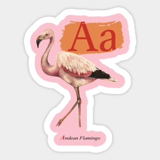 A is for Andean Flamingo Sticker